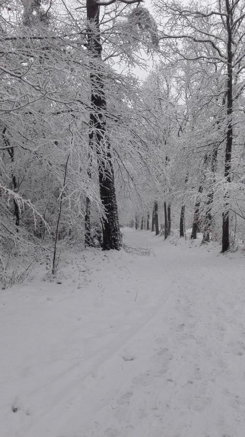 De Kleine Kriemelkuil Villa Ermelo Dış mekan fotoğraf