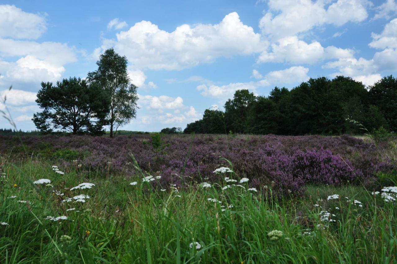 De Kleine Kriemelkuil Villa Ermelo Dış mekan fotoğraf